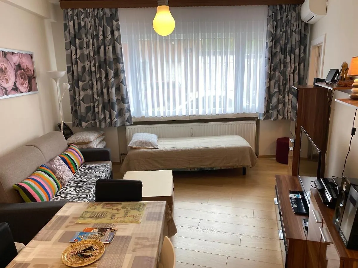 One-Bedroom Apartment Near Atomium Brussels